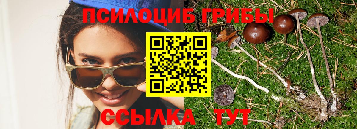 Тулун  Псилоцибиновые грибы ЛСД  Вход с VPN  сколько стоит  Галлюциногенные грибы Magic Shrooms 